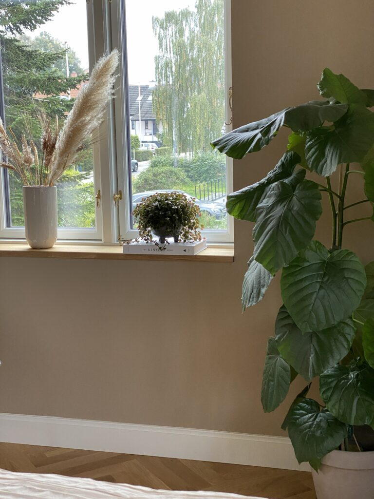 detaljer lister karme sildebensgulv